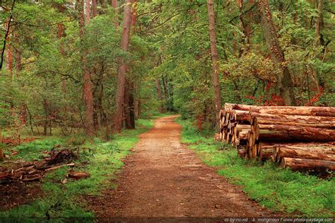 Forets .